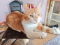 Spot (2)
